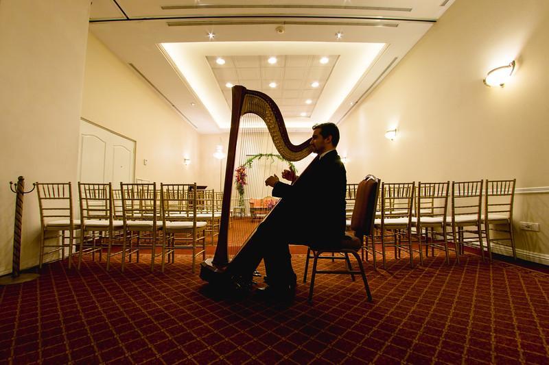 San Pedro Garza Garcia Safi Royal Luxury Valle מראה חיצוני תמונה A harpist playing at a wedding
